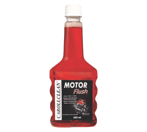 Motor Flush